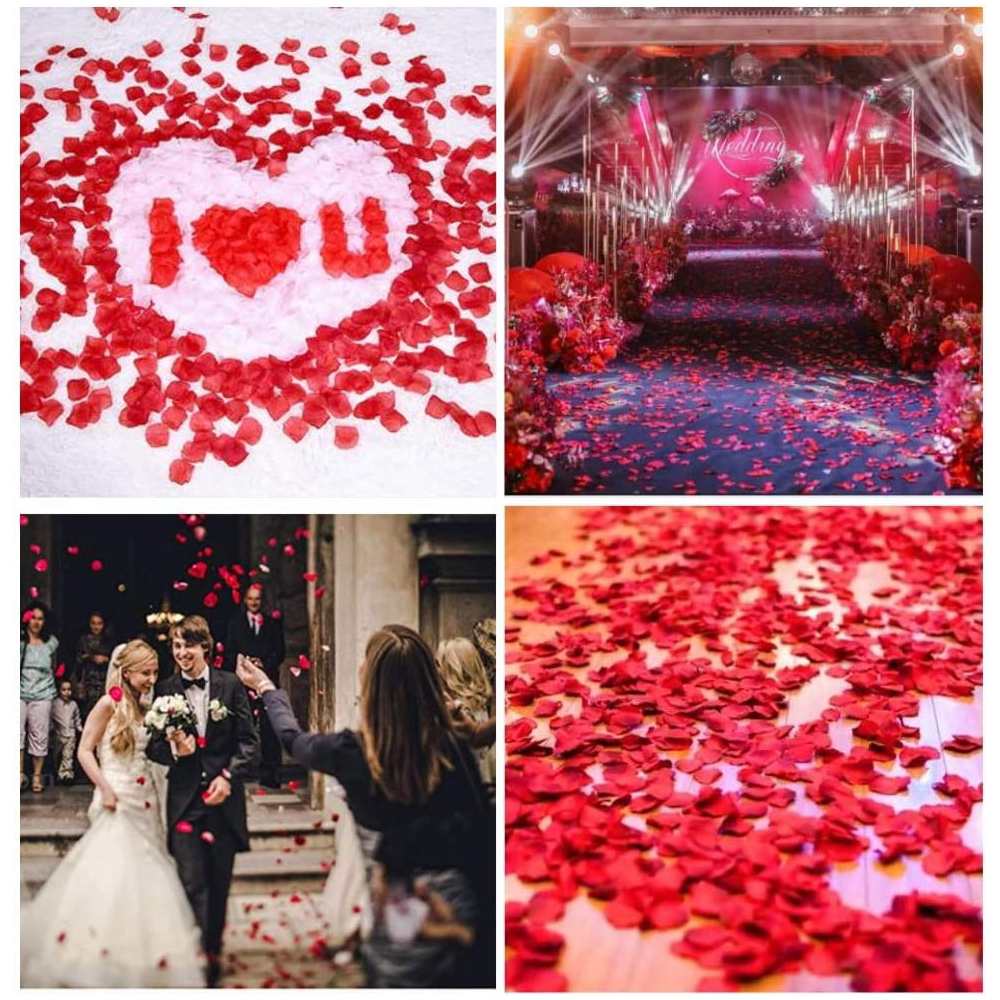 Artificial Rose Petals: image 10