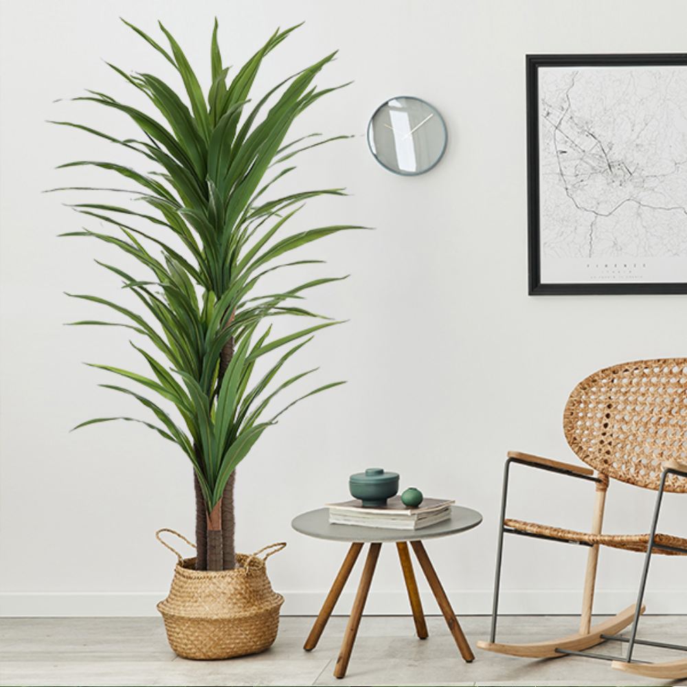 Artificial Dracaena Indoor Plant: image 5