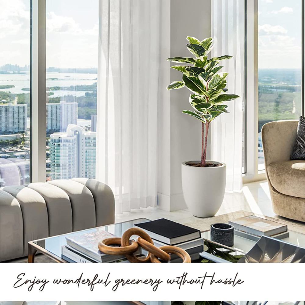 Artificial Rubber Tree Plant: image 10
