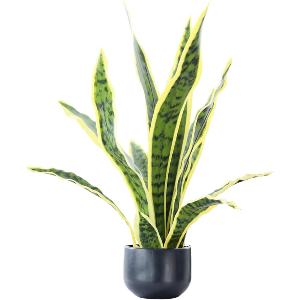 Artificial Snake Plant: image 4