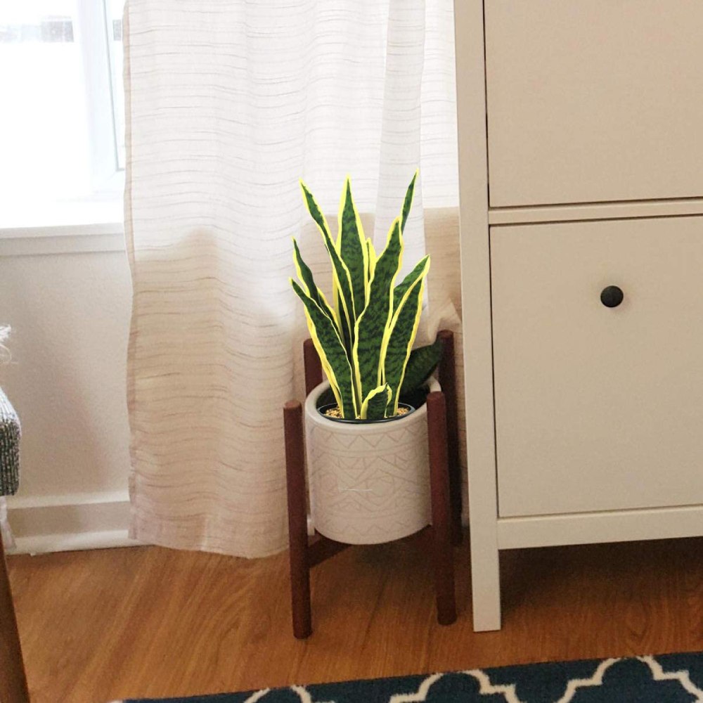 Artificial Snake Plant: image 6