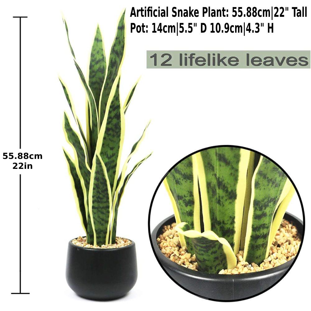 Artificial Snake Plant: image 8