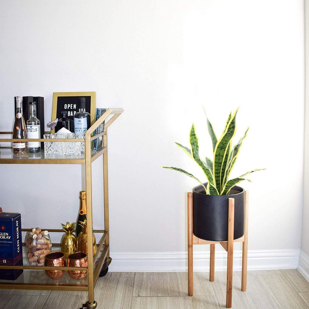 Artificial Snake Plant: image 9