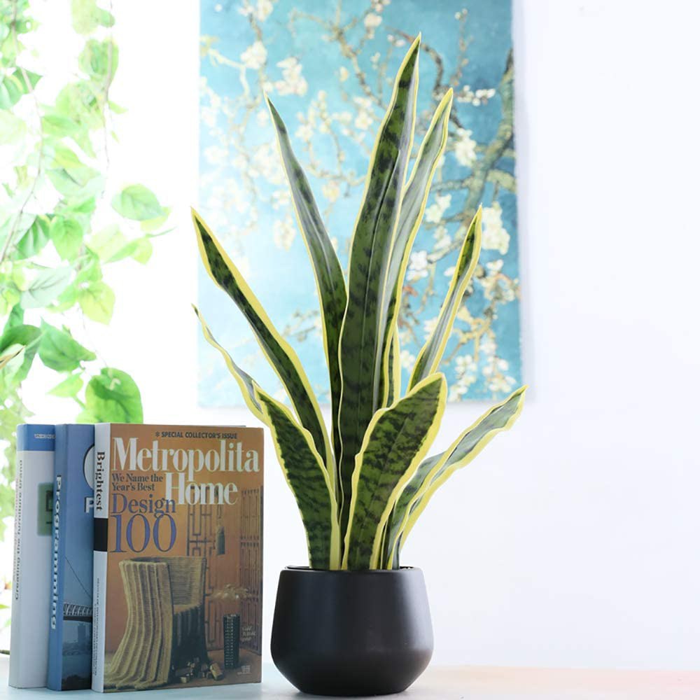 Artificial Snake Plant: image 10