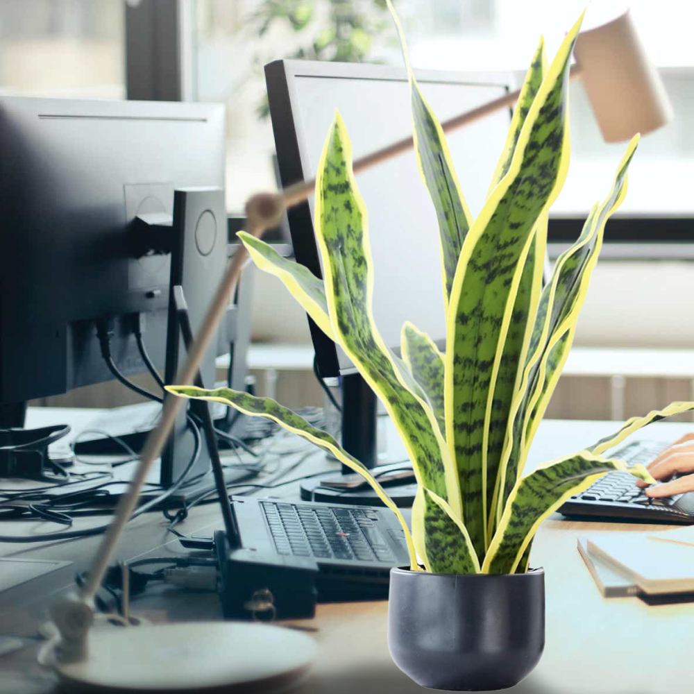 Artificial Snake Plant