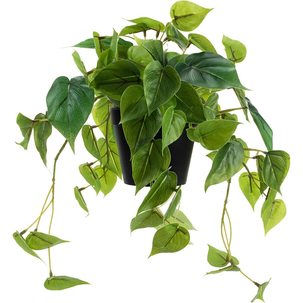 Artificial Lucky Greenery: image 9
