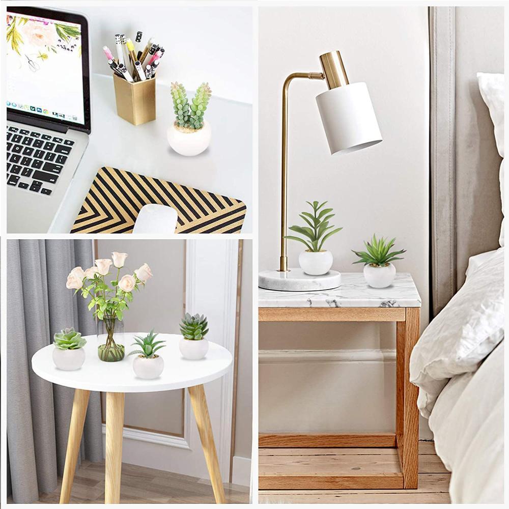 Artificial Succulent Plants: image 5