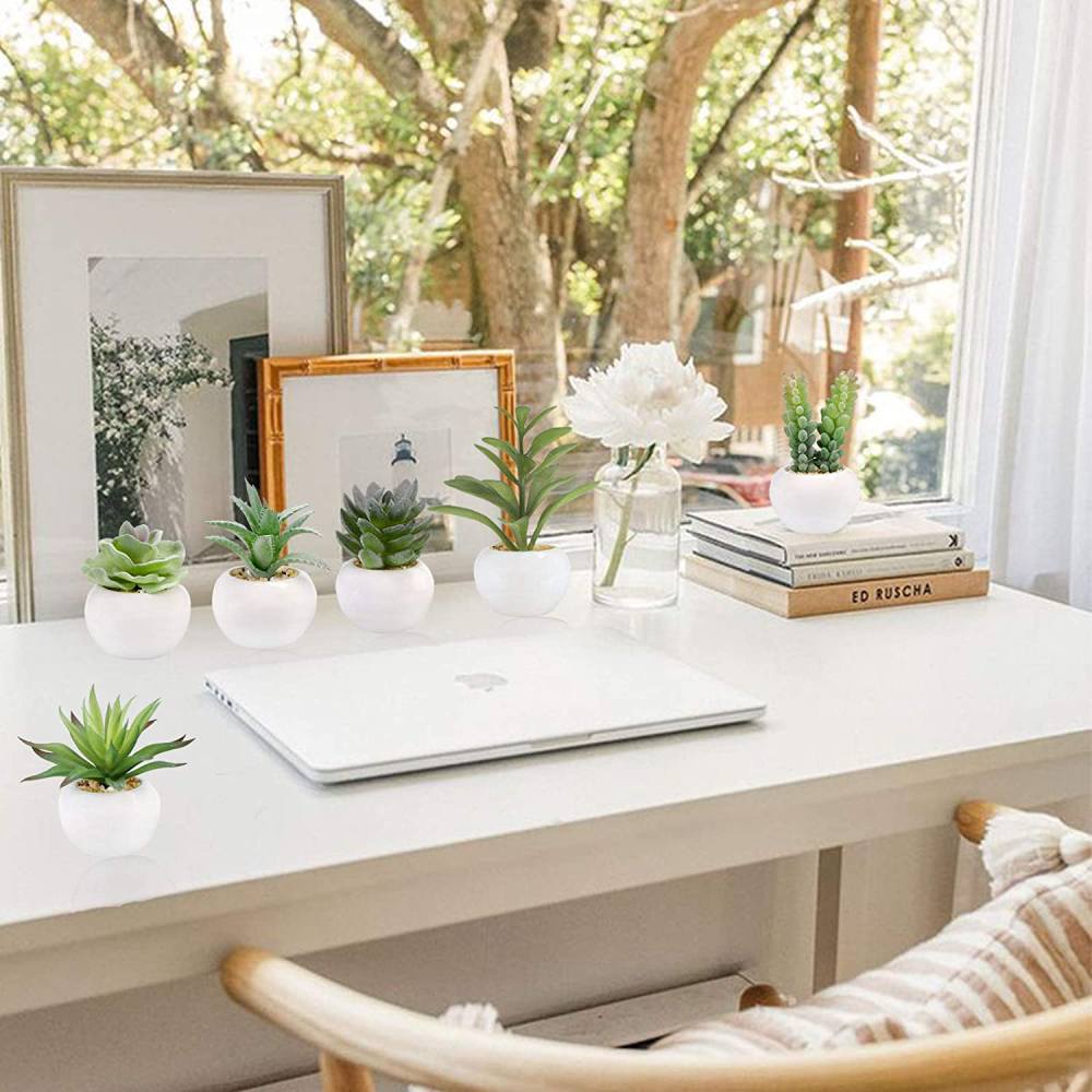 Artificial Succulent Plants: image 7