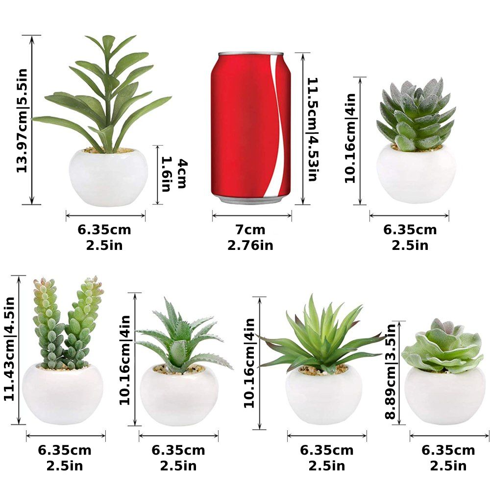 Artificial Succulent Plants: image 8