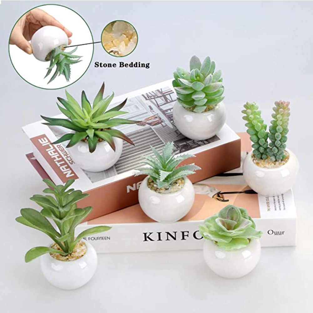 Artificial Succulent Plants: image 9