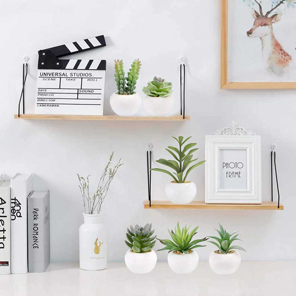 Artificial Succulent Plants: image 10