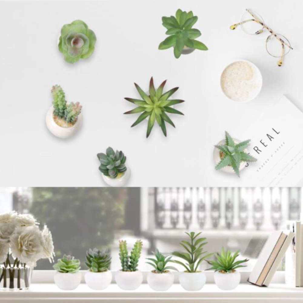 Artificial Succulent Plants: image 11