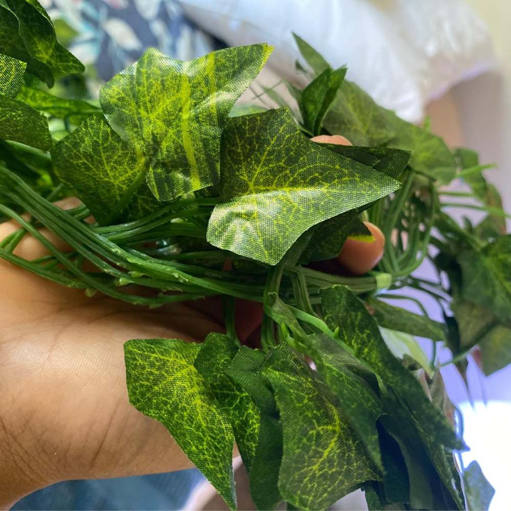 Artificial Ivy: image 10